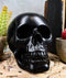 Ebros Charcoal Black Voodoo Skull Statue Cranium Decor Figurine Collectible