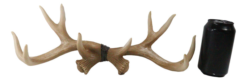 Ebros Brown Rustic 10 Point Stag Deer Antlers Rack Wall Plaque 17"W Coat Hooks