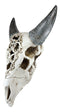 Ebros Large American Buffalo Bison Tooled Floral Lace Filigree Skull Wall Decor