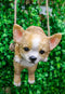 Deer Head Chihuahua Puppy Dog On Branch Swing Hanger Wall Decor Figurine