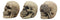 Ebros Gothic Alchemy See Hear Speak No Evil Grinning Skulls Statue Set Of Three 4"High Halloween Decor Ossuary Graveyard Figurines