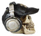 Skater Boy R&B Funk Rap Music Fanatic With Headphones Set And Black Hat Skull
