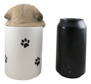 Ceramic Pug Puppy Dog Hiding and Peeking Dry Storage Jar With Paw Prints Decor