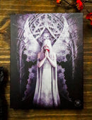 Ebros Anne Stokes Only Love Remains Skull Fairy Wood Framed Picture Canvas Wall Decor