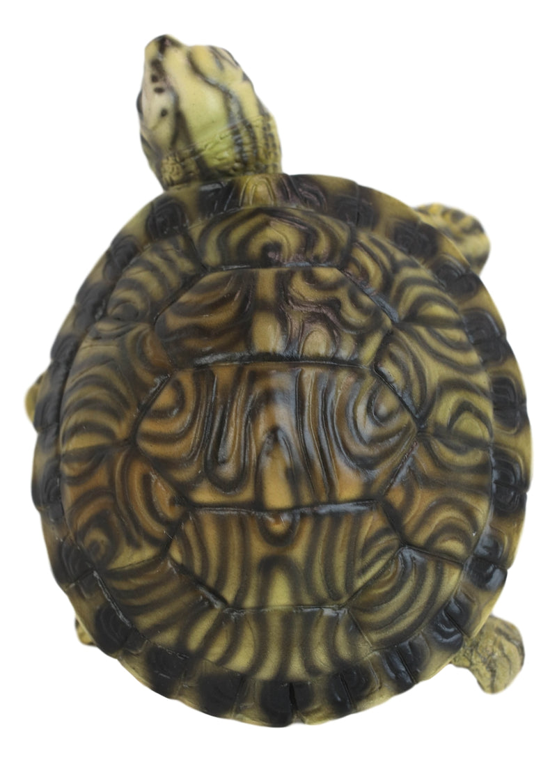 Lifelike Yellow Bellied Slider Turtle Tortoise Figurine 4.75"L Zen Feng Shui