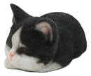 Ebros Lifelike Sleeping Tuxedo Black and White Cat Statue 7" Long Pet Pal Kitten Decor Figurine
