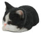 Ebros Lifelike Sleeping Tuxedo Black and White Cat Statue 7" Long Pet Pal Kitten Decor Figurine