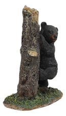 Ebros 5.5" Tall Realistic Black Bear Climbing Tree Trunk Statue Rustic Wildlife Forest Western Cabin Decor Bears Figurine - Ebros Gift