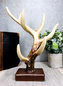 Ebros Rustic Buck Deer Antler Jewelry Accessories Holder Hook Stand 10.25"H