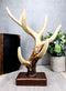 Ebros Rustic Buck Deer Antler Jewelry Accessories Holder Hook Stand 10.25"H