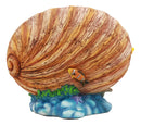Ebros Sheila Wolk Mermaid Pearl Sleeping Mermaid Inside An Oyster Shell Statue