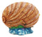 Ebros Sheila Wolk Mermaid Pearl Sleeping Mermaid Inside An Oyster Shell Statue