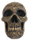 Ornate Tooled Floral Lace Fleur De Lis Royalty Cross Skull Decorative Figurine