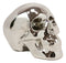 Electroplated Shiny Chrome Cranium Skull Head Money Bank Resin Figurine 7.5"L