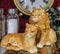Safari Pride King Lion and Lioness Couple Resting Ceramic Salt Pepper Shaker Set