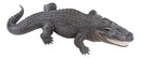 Grand Scale Realistic Nile Crocodile Baring Razor Sharp Teeth Garden Statue 30"L