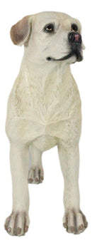 Adorable Labrador Golden Retriever Dog Standing On All Fours Pet Pal Figurine