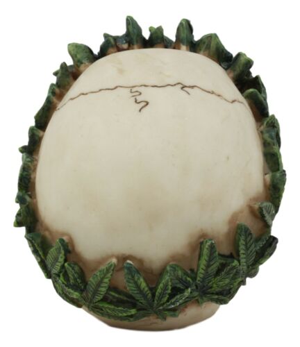 Pot Head Skull Statue 6"Long Gothic Skull With Weed Leaf Laurel Resin Figurine