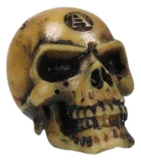 Wicca New Age Alchemy Emblem Lapillus Worry Token Skull Gothic Mini Figurine
