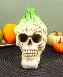 Ebros Day Of The Dead Vegetable Napa Cabbage Skull Statue 6"L Cranium Figurine