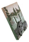 Pack of 2 Wildlife Bayou Swamp Alligator Double Toggle Switch Wall Outlet Plate