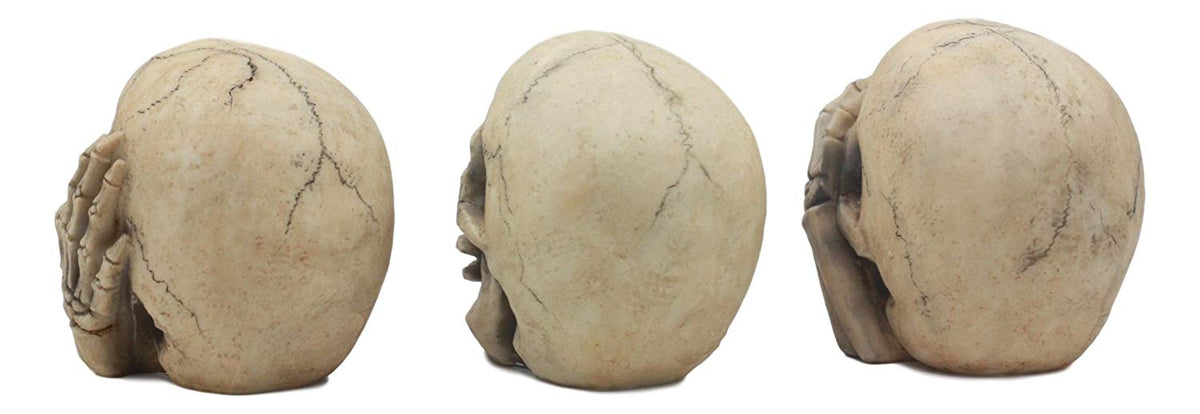Ebros Gothic Alchemy See Hear Speak No Evil Grinning Skulls Statue Set Of Three 4"High Halloween Decor Ossuary Graveyard Figurines - Ebros Gift