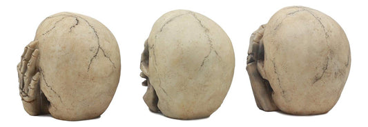 Ebros Gothic Alchemy See Hear Speak No Evil Grinning Skulls Statue Set Of Three 4"High Halloween Decor Ossuary Graveyard Figurines - Ebros Gift