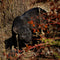 Grand Scale Realistic Black Panther Jaguar Leopard Prowling Statue 31"Long