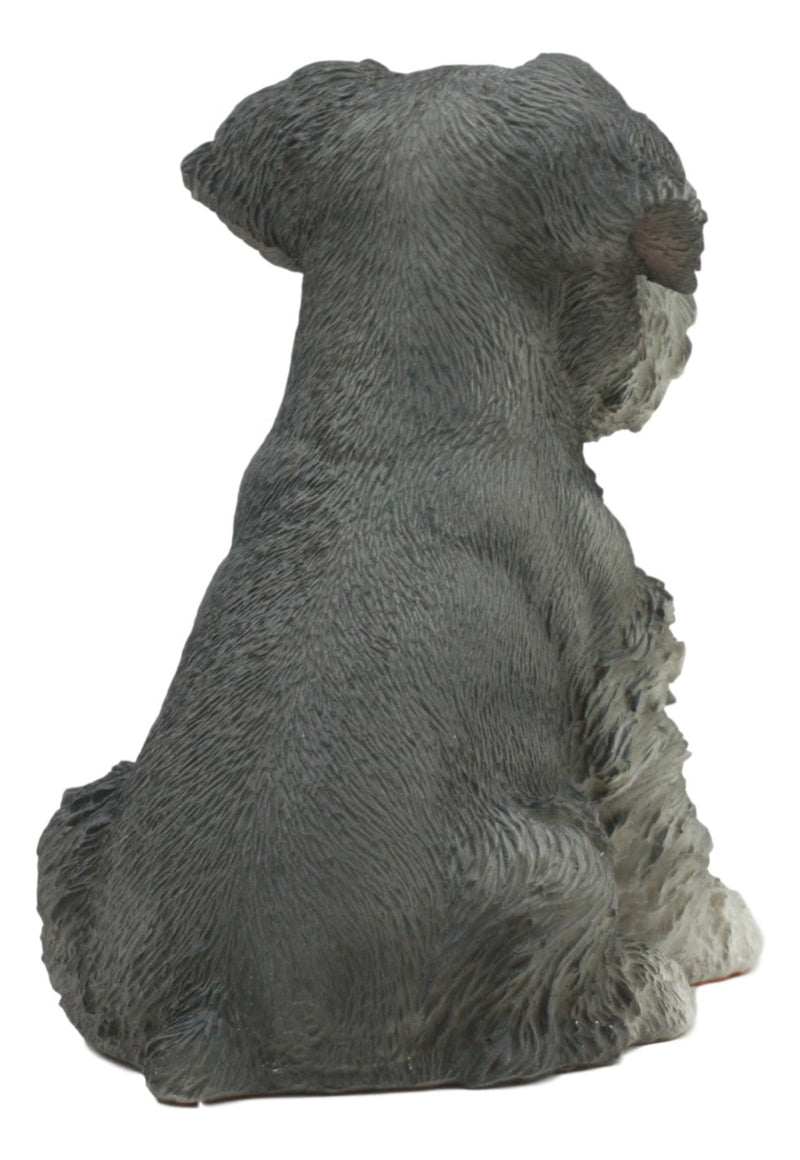 Ebros Realistic Miniature Schnauzer Puppy Statue 6.5"Tall Animal Dog Collectible