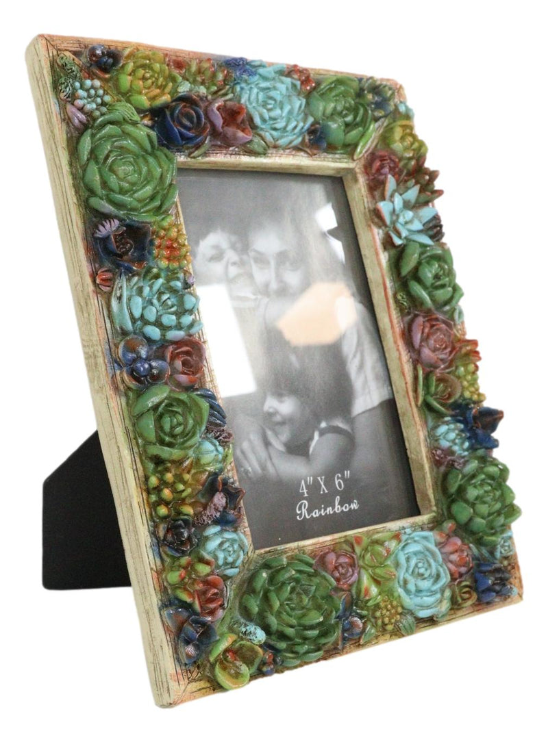 Southwestern 3D Colorful Cactus Succulent Flowers Western Picture Frame 4"X6"
