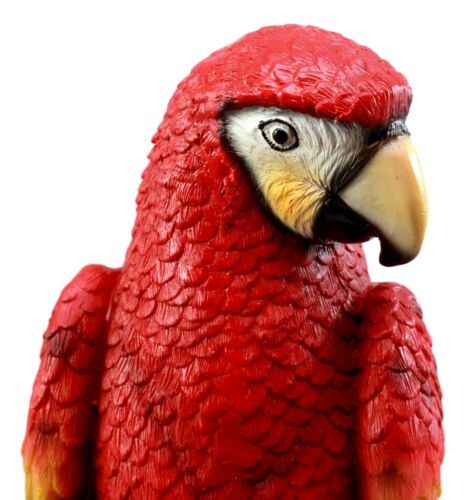 Ebros Tropical Rainforest Paradise Bird Scarlet Macaw Parrot Perching On Branch Statue