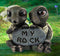 Ebros Nautical 'My Rock' Loving Romantic Turtle Couple Figurines 2 Parts Set
