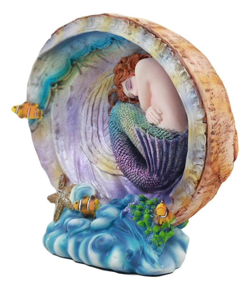 Ebros Sheila Wolk Mermaid Pearl Sleeping Mermaid Inside An Oyster Shell Statue