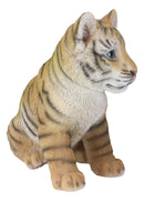 Ebros 9.25"H Realistic Bengal Orange Tiger Cub Statue With Glass Eyes Jungle Tigers