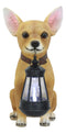 Picante Mexican Chihuahua Dog Decor Path Lighter Statue With Solar LED Lantern