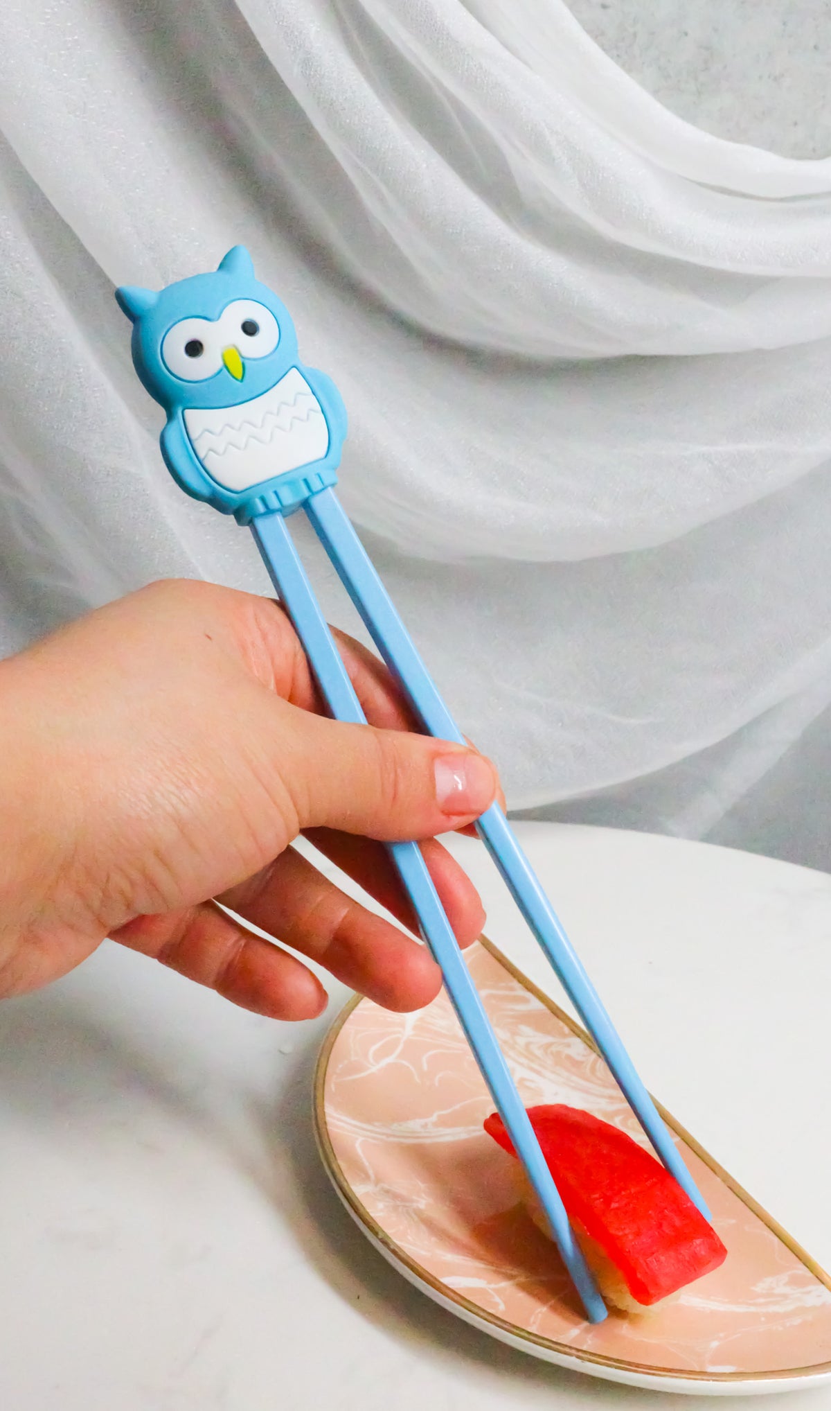Sky Blue Night Owl Reusable Training Chopsticks Set With Silicone Helper Hinge - Ebros Gift
