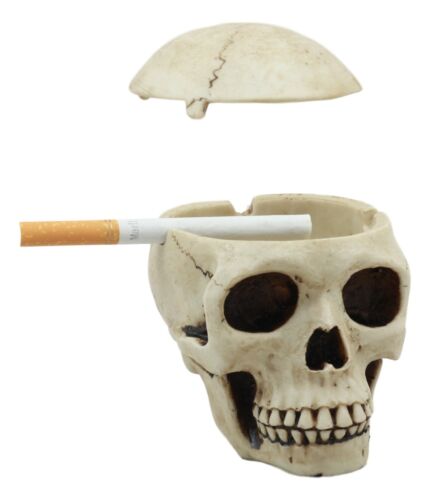 Day of The Dead Ossuary Human Skull Ashtray Statue Skeleton Cranium Jewelry Box