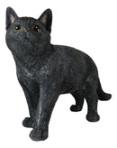 Large Lifelike Mystical Standing Black Cat Kitten Statue With Glass Eyes15"L