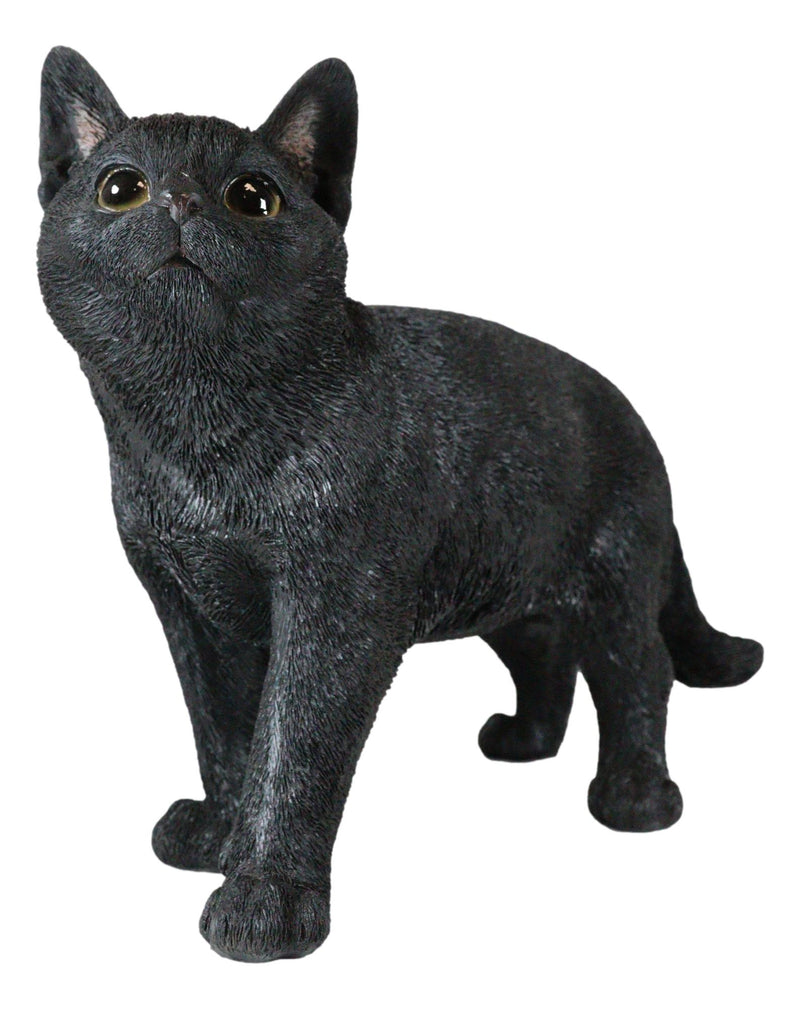 Large Lifelike Mystical Standing Black Cat Kitten Statue With Glass Eyes15"L
