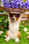 Adorable Mutt Dog Puppy Pooch Holding Faux Wood Slice Table Stand Figurine