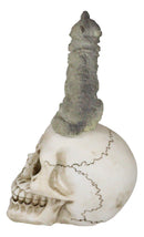 Gothic Full Moon Howling Gray Wolf Sitting On Graveyard Macabre Skull Figurine
