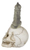 Gothic Full Moon Howling Gray Wolf Sitting On Graveyard Macabre Skull Figurine