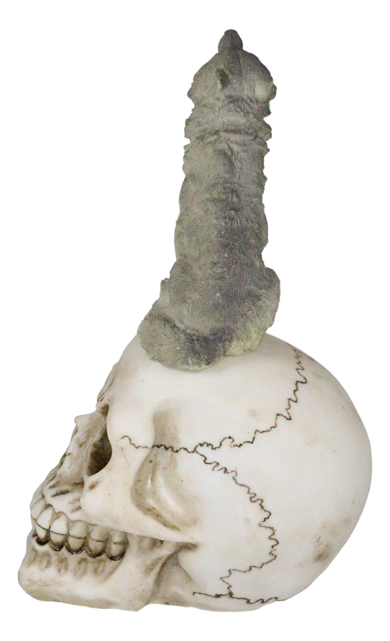 Gothic Full Moon Howling Gray Wolf Sitting On Graveyard Macabre Skull Figurine