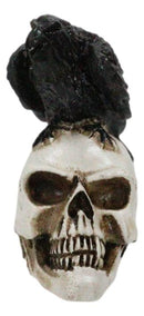 Ossuary Macabre Harbinger Of Doom Black Raven Crow Bird On Skull Mini Figurine