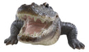 Grand Scale Realistic Nile Crocodile Baring Razor Sharp Teeth Garden Statue 30"L
