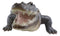 Grand Scale Realistic Nile Crocodile Baring Razor Sharp Teeth Garden Statue 30"L