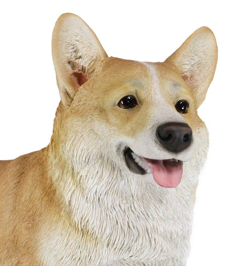 Large 18.5" Long Sitting Realistic Lifelike Welsh Corgi Dog Statue Home Decor