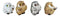 Wise Academic Forest Snowy Owls & Chicks Figurine Set Small Collectibles