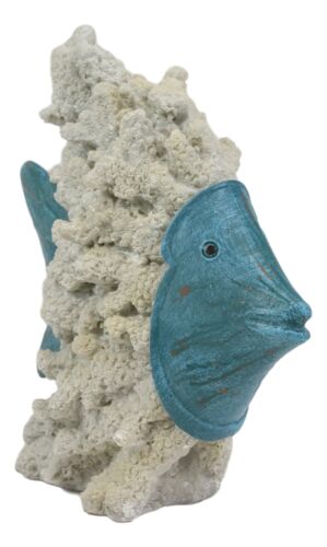 Nautical Marine Blue Angelfish with Off White Coral Reef Exoskeleton Body Statue