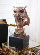 Woodland Nocturnal Bird Hunter Long Eared Owl Bust Electroplated Figurine Bird